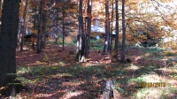 IMG_0182.jpg, 30kB